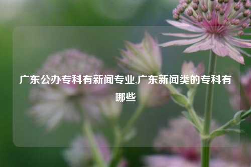 广东公办专科有新闻专业,广东新闻类的专科有哪些