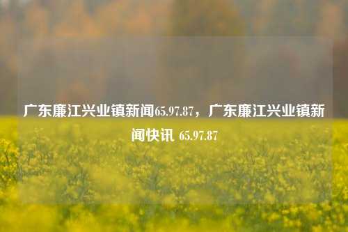 广东廉江兴业镇新闻65.97.87，广东廉江兴业镇新闻快讯 65.97.87