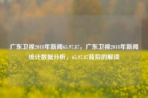 广东卫视2018年新闻65.97.87，广东卫视2018年新闻统计数据分析，65.97.87背后的解读