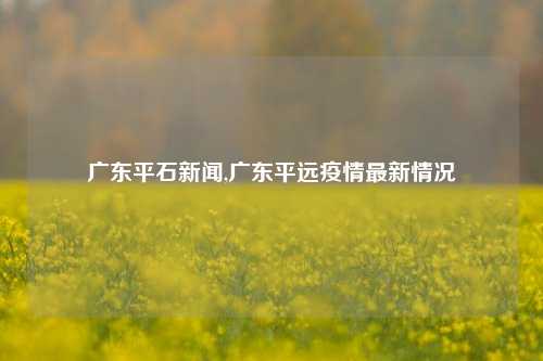 广东平石新闻,广东平远疫情最新情况