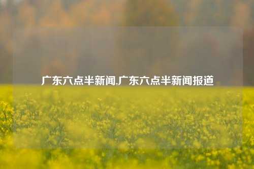 广东六点半新闻,广东六点半新闻报道