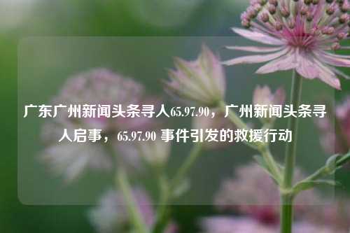 广东广州新闻头条寻人65.97.90，广州新闻头条寻人启事，65.97.90 事件引发的救援行动