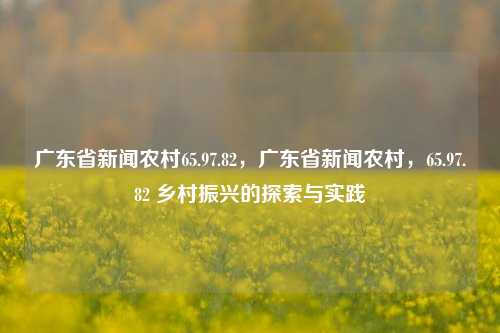 广东省新闻农村65.97.82，广东省新闻农村，65.97.82 乡村振兴的探索与实践