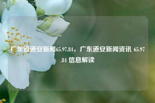 广东省道安新闻65.97.84，广东道安新闻资讯 65.97.84 信息解读