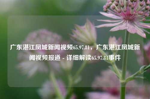 广东湛江凤城新闻视频65.97.81，广东湛江凤城新闻视频报道 - 详细解读65.97.81事件