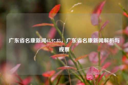 广东省名康新闻65.97.85，广东省名康新闻解析与观察