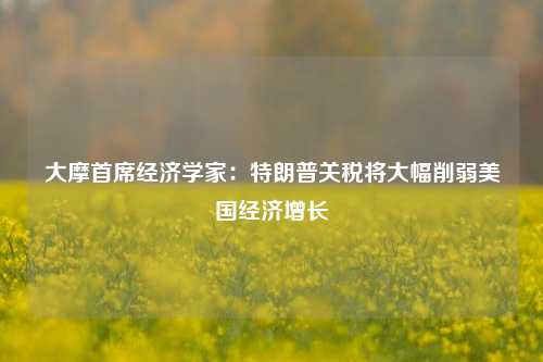 大摩首席经济学家：特朗普关税将大幅削弱美国经济增长