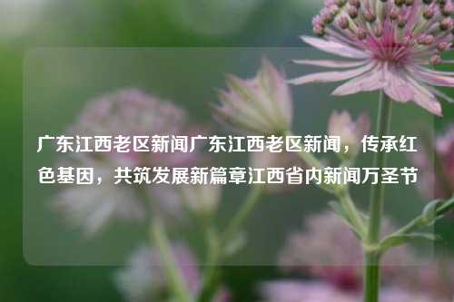 广东江西老区新闻广东江西老区新闻，传承红色基因，共筑发展新篇章江西省内新闻万圣节