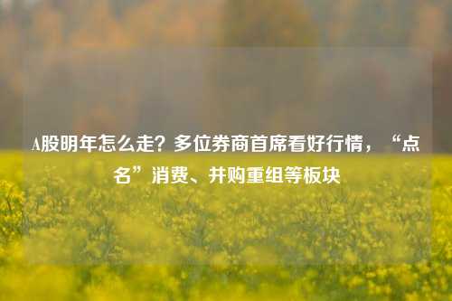 A股明年怎么走？多位券商首席看好行情，“点名”消费、并购重组等板块