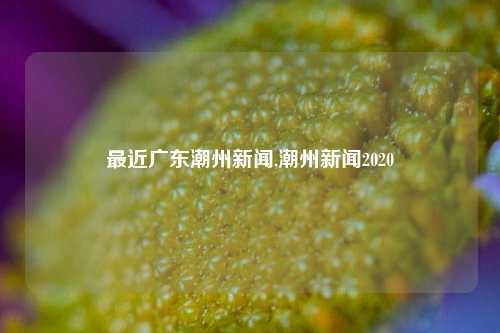 最近广东潮州新闻,潮州新闻2020