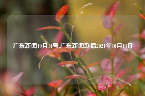 广东新闻10月14号,广东新闻联播2021年10月14日