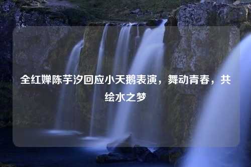 全红婵陈芋汐回应小天鹅表演，舞动青春，共绘水之梦