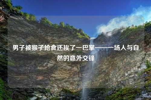 男子被猴子抢食还挨了一巴掌——一场人与自然的意外交锋
