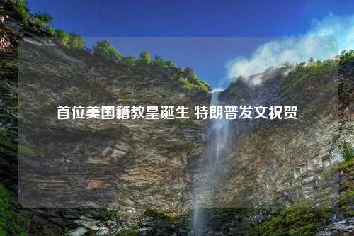 首位美国籍教皇诞生 特朗普发文祝贺