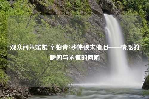 观众问朱媛媛 辛柏青2秒停顿太催泪——情感的瞬间与永恒的回响