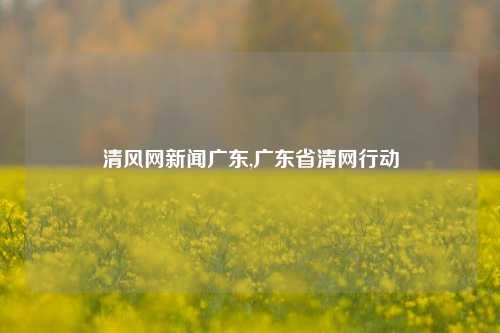 清风网新闻广东,广东省清网行动