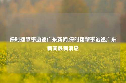 保时捷肇事逃逸广东新闻,保时捷肇事逃逸广东新闻最新消息