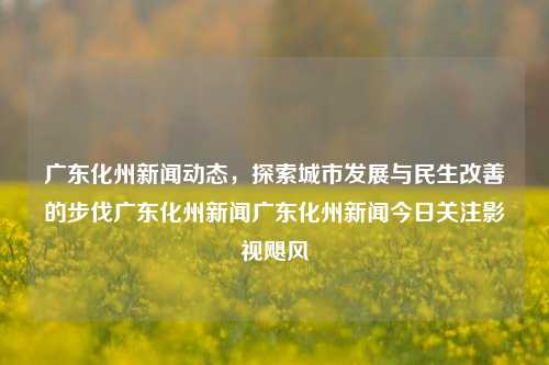 广东化州新闻动态，探索城市发展与民生改善的步伐广东化州新闻广东化州新闻今日关注影视飓风