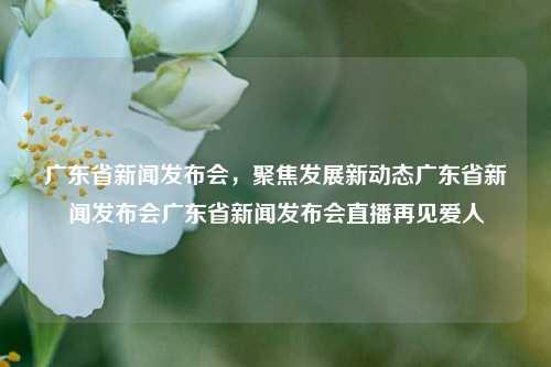 广东省新闻发布会，聚焦发展新动态广东省新闻发布会广东省新闻发布会直播再见爱人