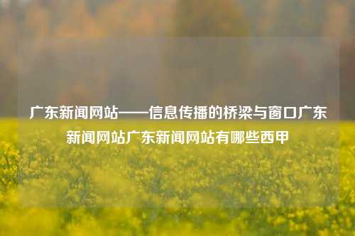 广东新闻网站——信息传播的桥梁与窗口广东新闻网站广东新闻网站有哪些西甲