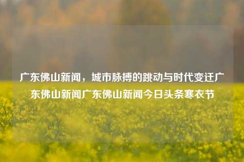 广东佛山新闻，城市脉搏的跳动与时代变迁广东佛山新闻广东佛山新闻今日头条寒衣节