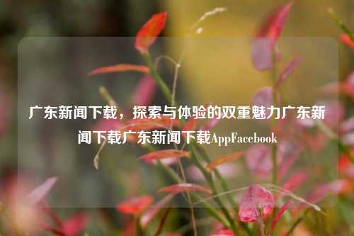 广东新闻下载，探索与体验的双重魅力广东新闻下载广东新闻下载AppFacebook